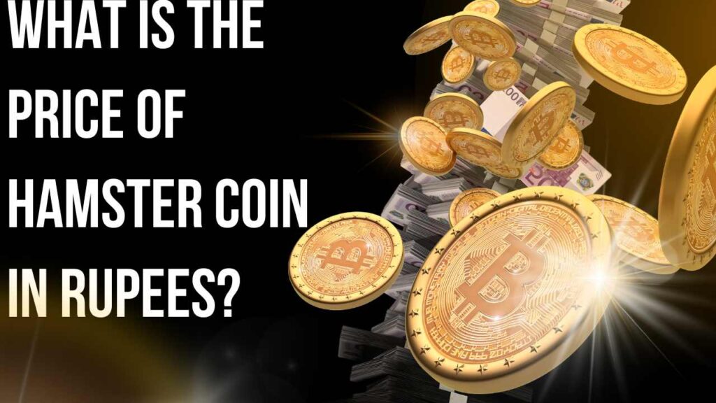 What is the Price of Hamster Coin in Rupees